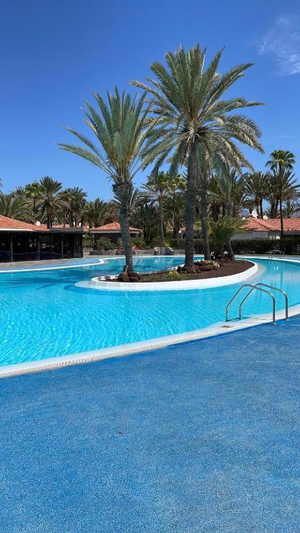 Sun Club Luxus Bungalow Projecto 65 Maspalomas  Extérieur photo