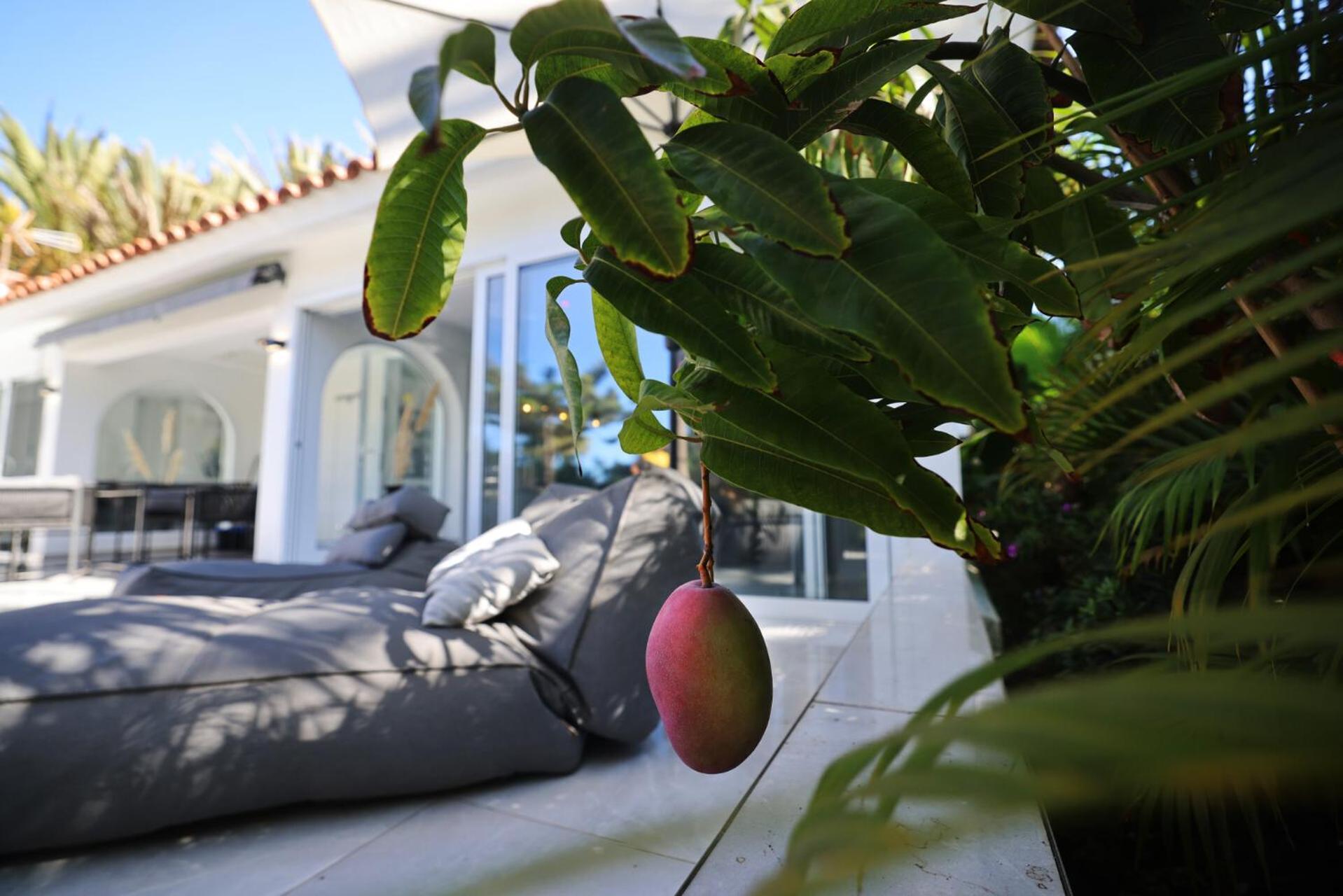 Sun Club Luxus Bungalow Projecto 65 Maspalomas  Extérieur photo